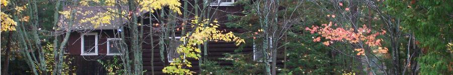 A glimpse of a cottage peaking through the trees